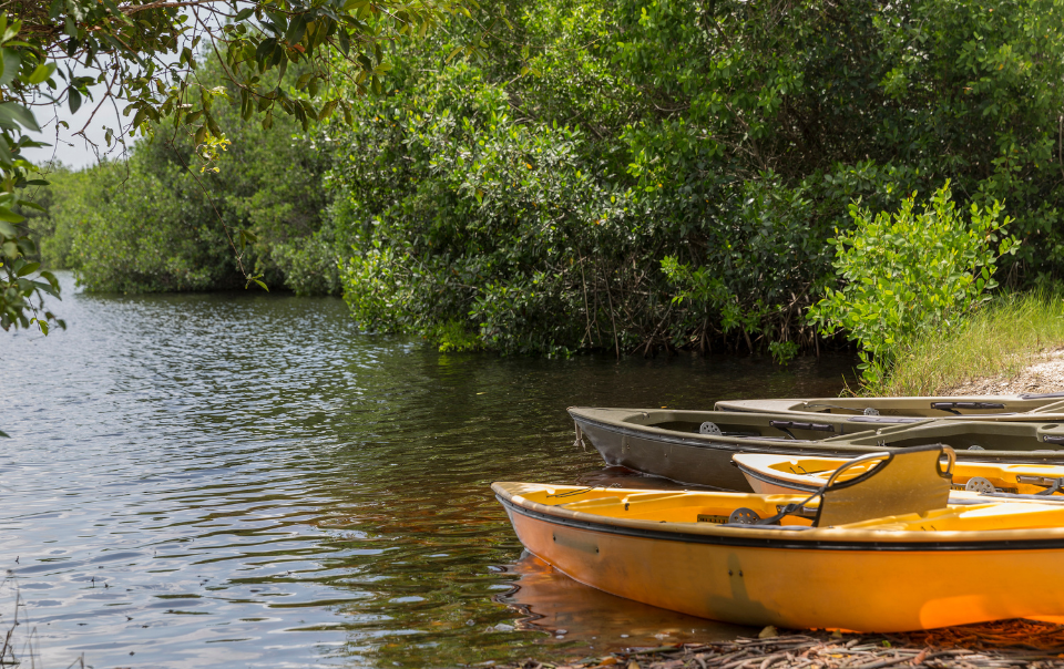 Sea kayaking in Jabaquara Bay: beaches, islands, and mangroves. 4-hour tour.