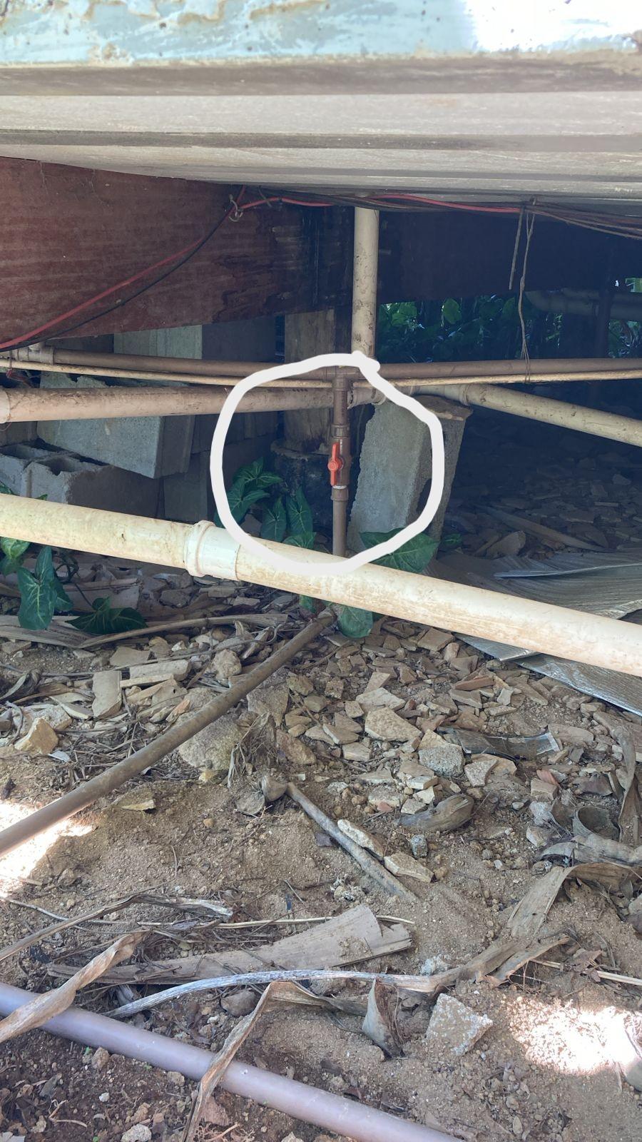 Registro para Lichia, cozinha e filtro