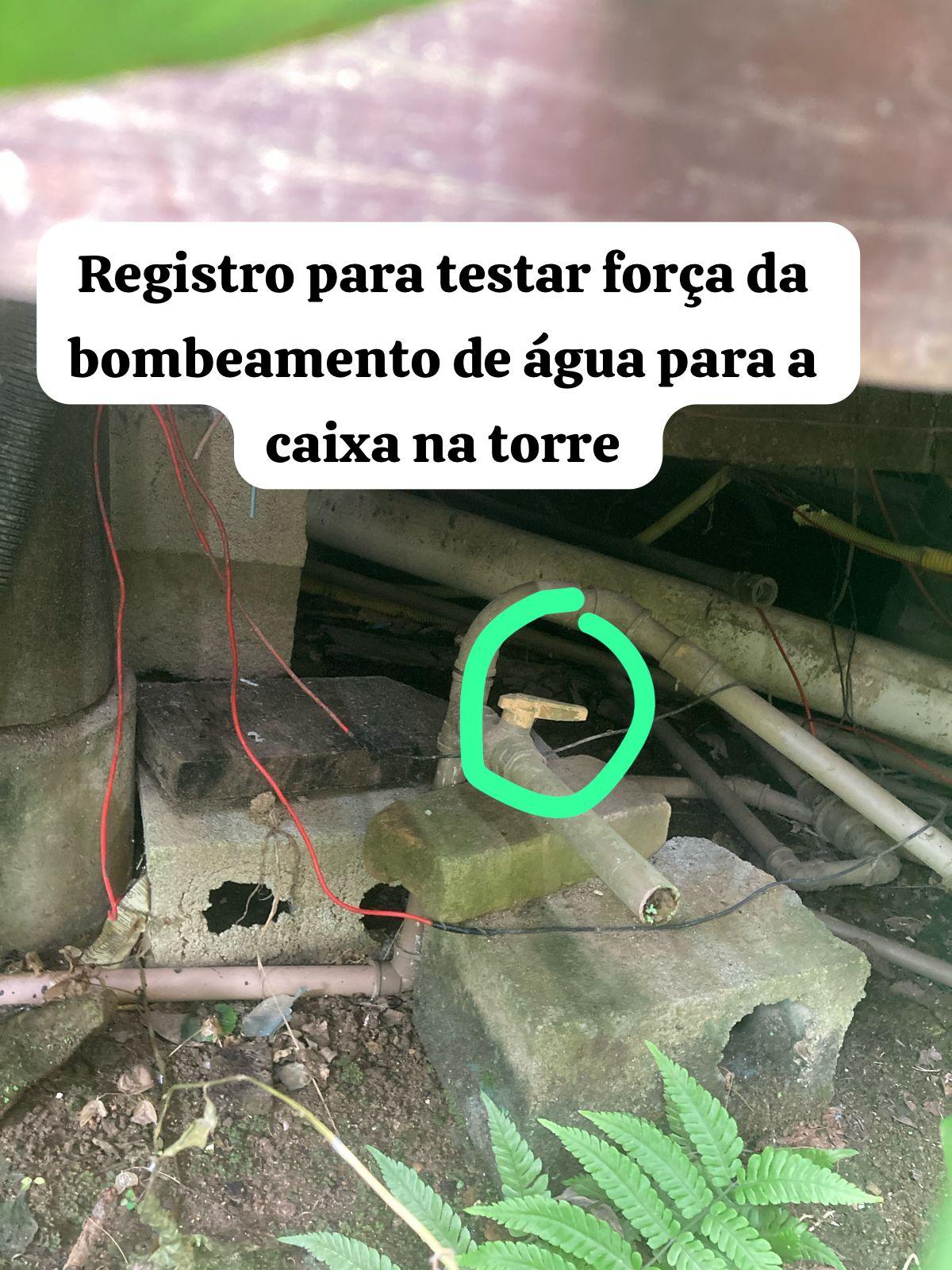 Bomba Ipê
